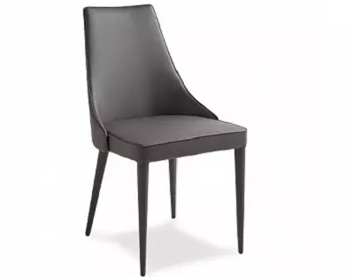 Bløde stole til stuen: Chair-stole funktioner, blød ryg og negle af modeller og andre muligheder 9751_6