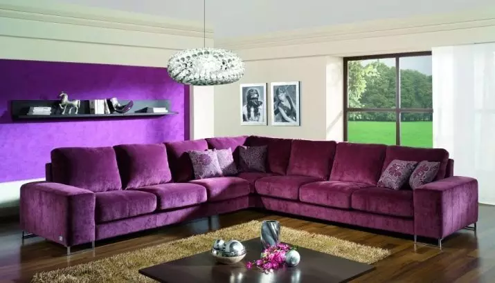 Siesas dzīvojamā istabā (157 fotogrāfijas): pārskats par mīkstajiem dīvāniem zālei, stilīgs pusapaļš un p-formas, neprofināls un elites taisnas dīvāni interjerā. Kā izvēlēties? 9758_119