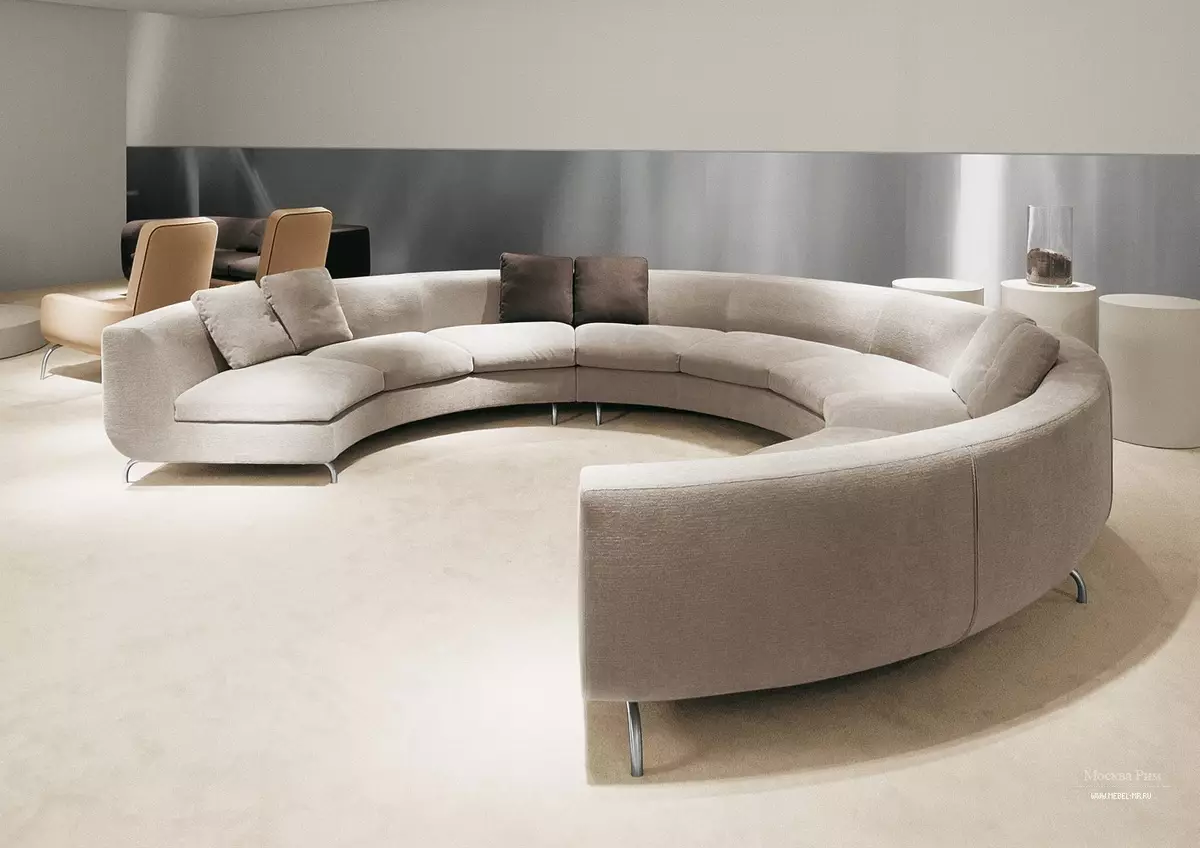 Sives w salonie (157 zdjęć): Przegląd miękkich sof dla sali, stylowe półokrągłe i w kształcie litery P, nieświadome i elitarne proste sofy we wnętrzu. Jak wybrać? 9758_23