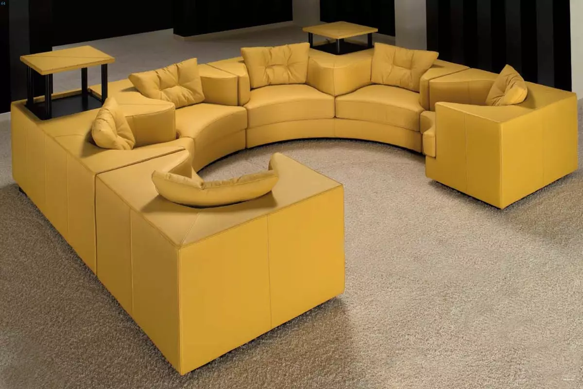 Sives w salonie (157 zdjęć): Przegląd miękkich sof dla sali, stylowe półokrągłe i w kształcie litery P, nieświadome i elitarne proste sofy we wnętrzu. Jak wybrać? 9758_25
