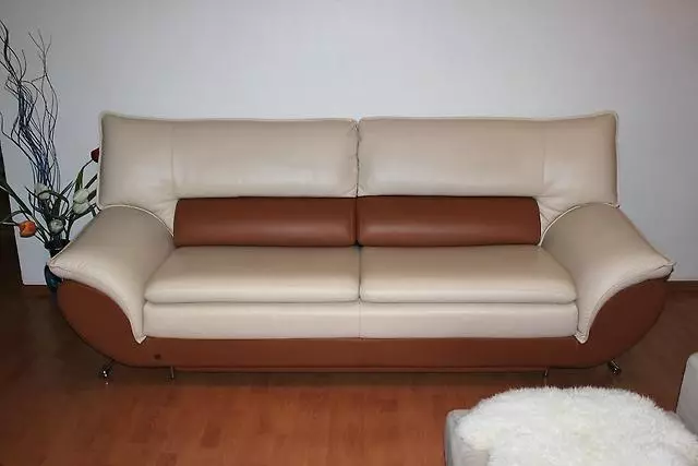 Sives w salonie (157 zdjęć): Przegląd miękkich sof dla sali, stylowe półokrągłe i w kształcie litery P, nieświadome i elitarne proste sofy we wnętrzu. Jak wybrać? 9758_71