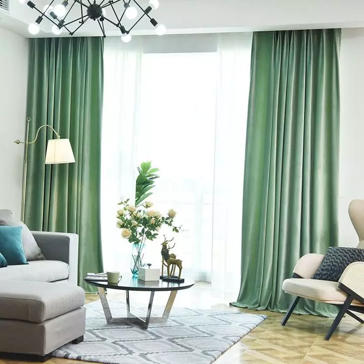 绿色窗帘在客厅内部（51张照片）：绿色窗帘设计在大厅里。内部深绿色和其他色调的窗帘 9790_11