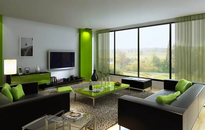 绿色窗帘在客厅内部（51张照片）：绿色窗帘设计在大厅里。内部深绿色和其他色调的窗帘 9790_12
