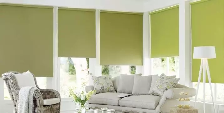 绿色窗帘在客厅内部（51张照片）：绿色窗帘设计在大厅里。内部深绿色和其他色调的窗帘 9790_22