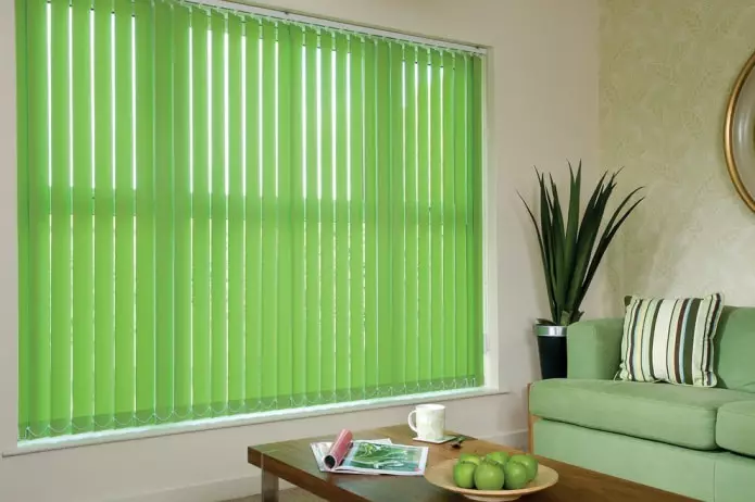 绿色窗帘在客厅内部（51张照片）：绿色窗帘设计在大厅里。内部深绿色和其他色调的窗帘 9790_28