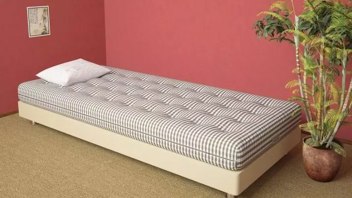 పేలుడు mattress: స్ప్రింగ్స్ లేకుండా mattresses యొక్క లాభాలు మరియు నష్టాలు, నమూనాలు 160x200, 140x200 మరియు ఇతర పరిమాణాలు, ఉత్తమ నాణ్యత దుప్పట్లు రేటింగ్ 9823_31
